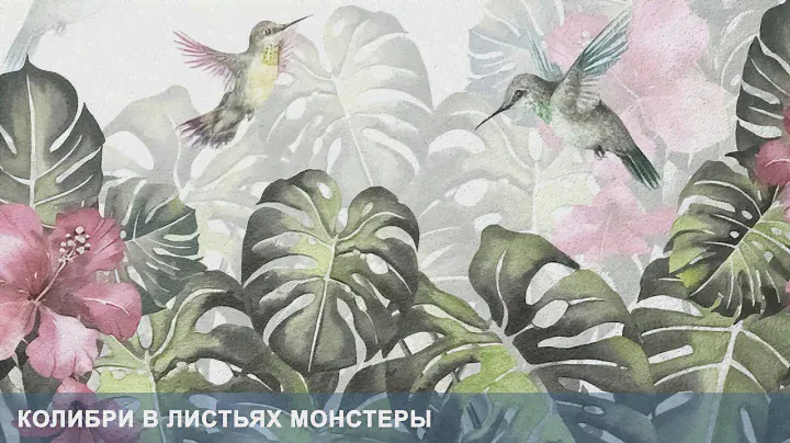 3D Фотообои «Колибри в листьях монстеры»
