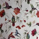 Colibri